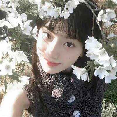 查维特